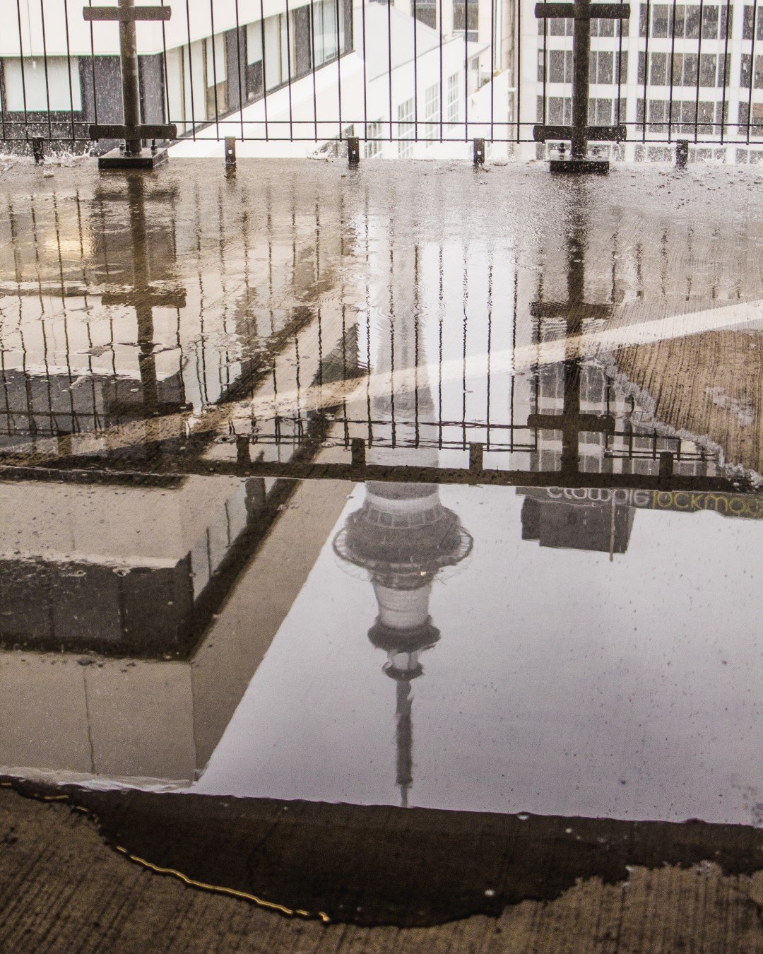 rainy-day-auckland
