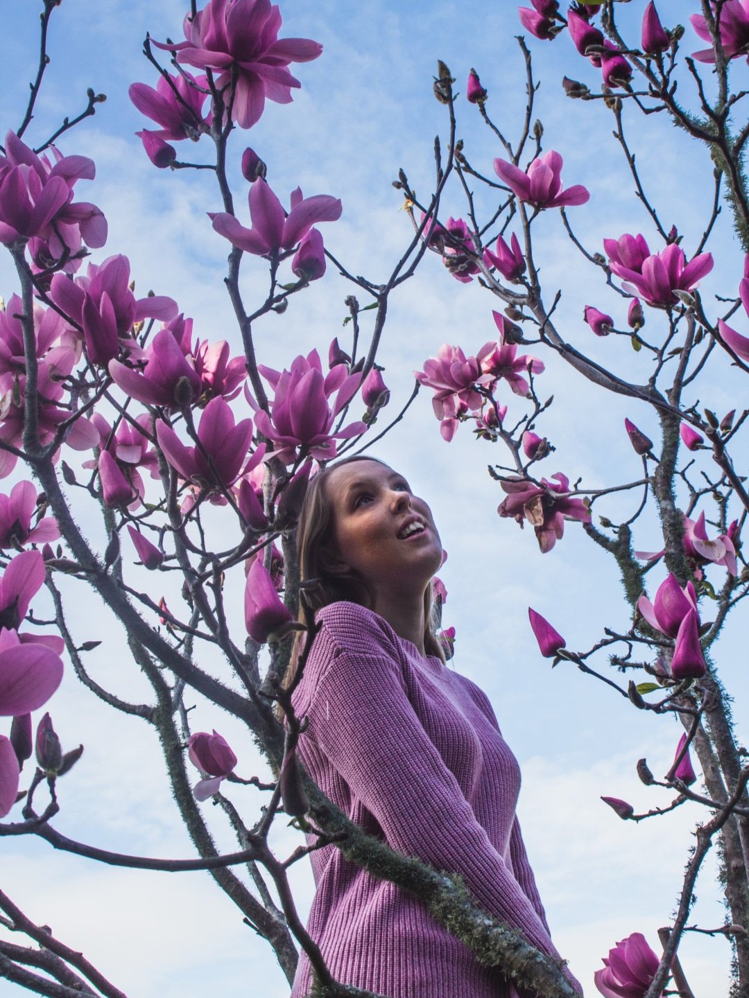 spring-blooms