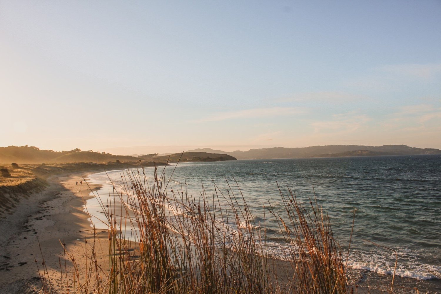 the-best-way-to-spend-a-night-camping-at-tawharanui-beach-auckland