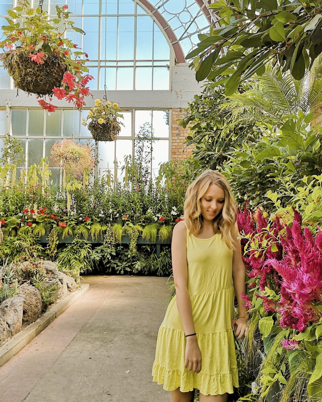 The Auckland Wintergardens are an oasis in the city centre.