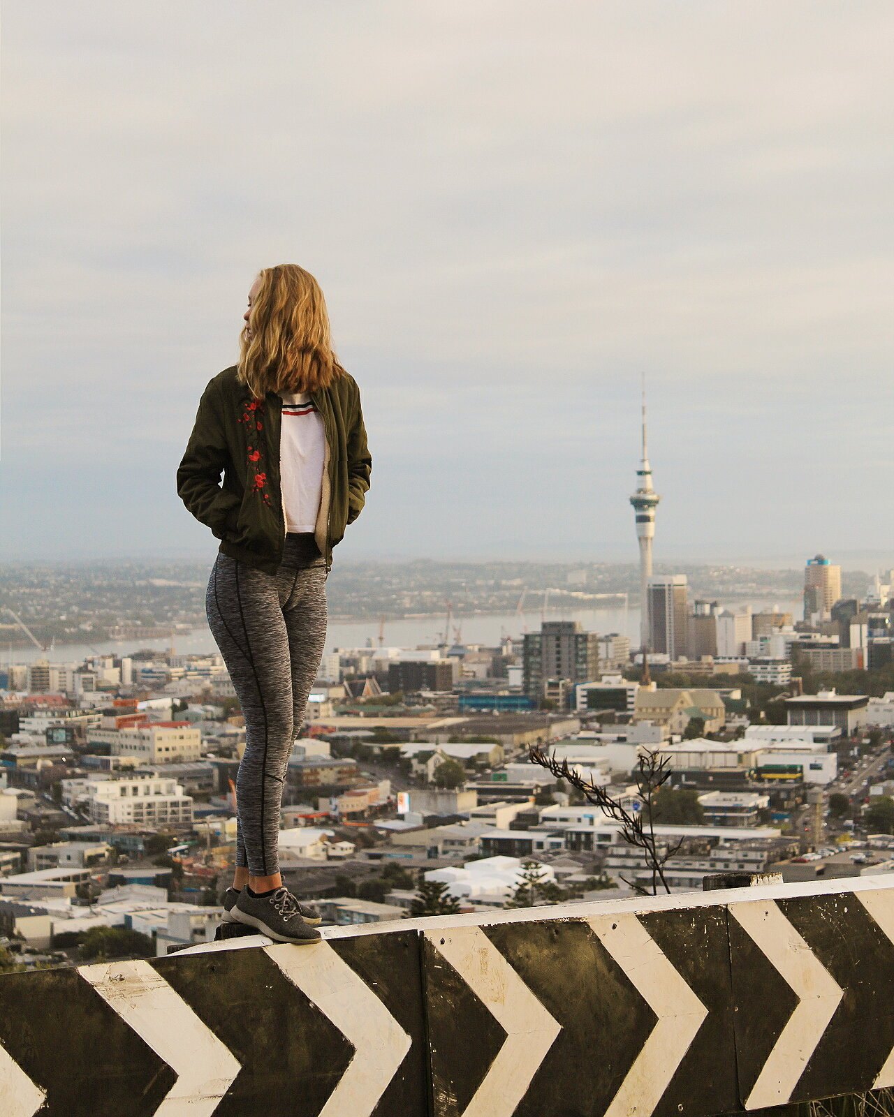 Overlooking Auckland City from Maungawhau, Mt Eden