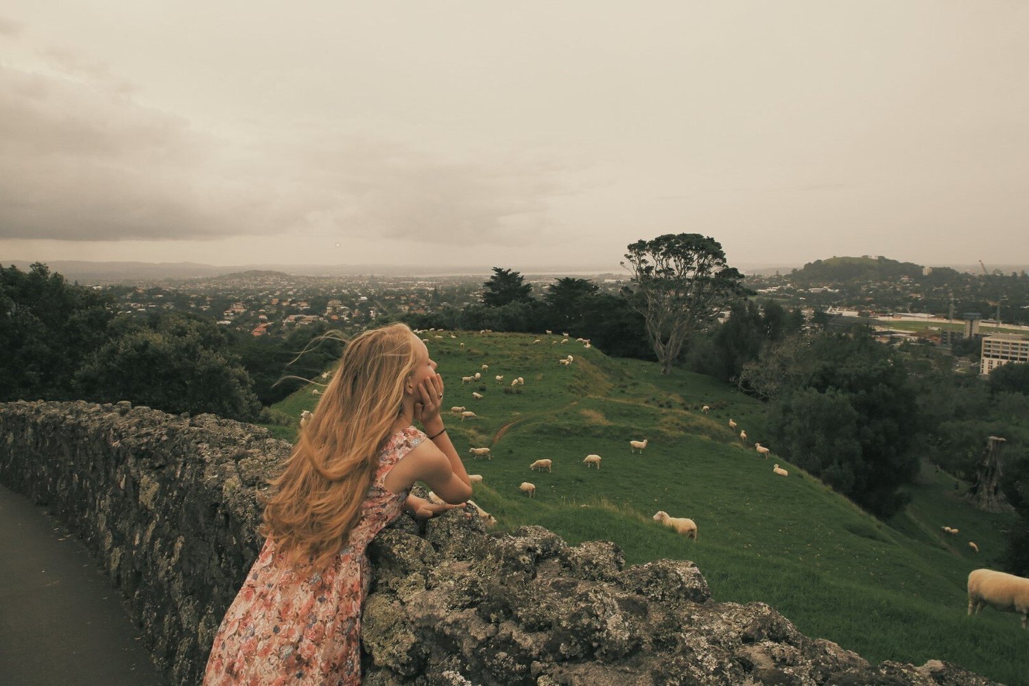 Maungakiekie - One Tree Hill, Auckland