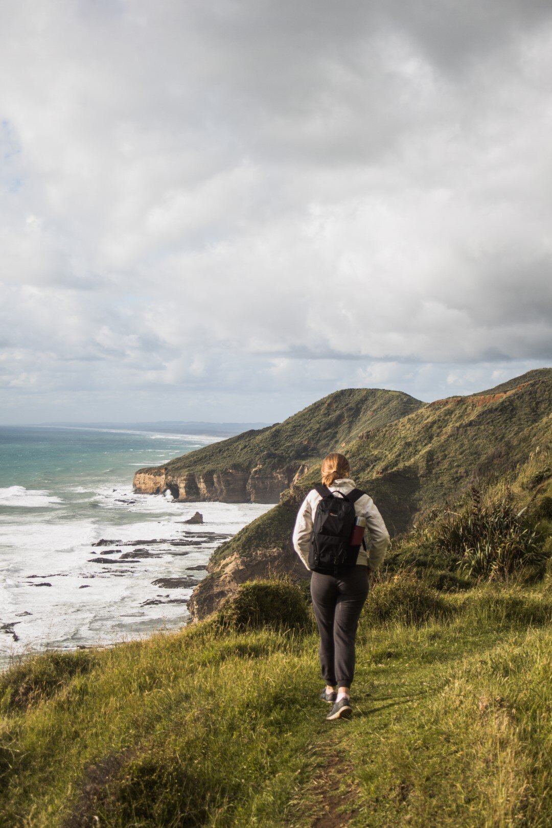 te-henga-walkway-auckland-complete-review