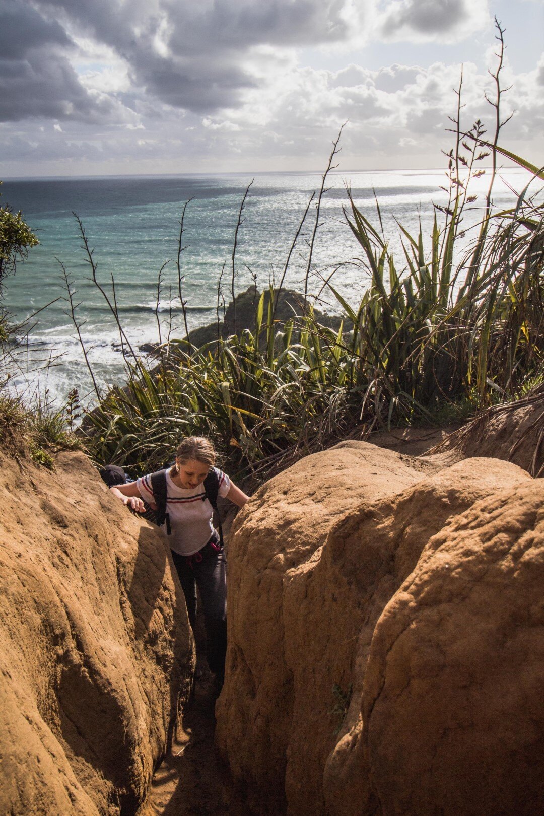 te-henga-walkway-auckland-complete-review