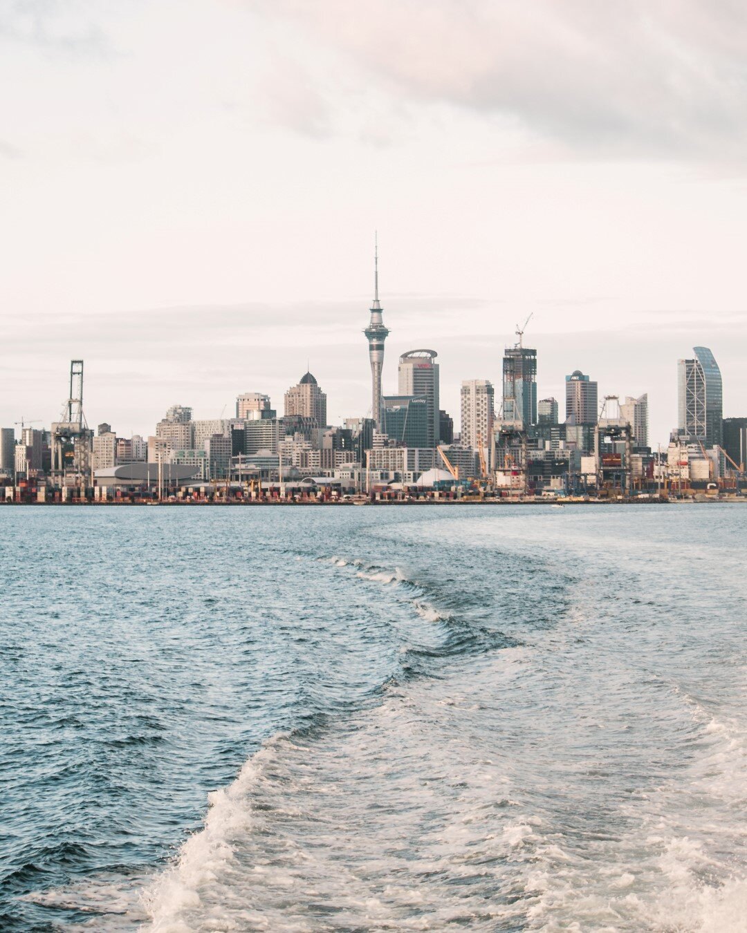rangitoto-island-walks-fullers-ferry-auckland-cbd