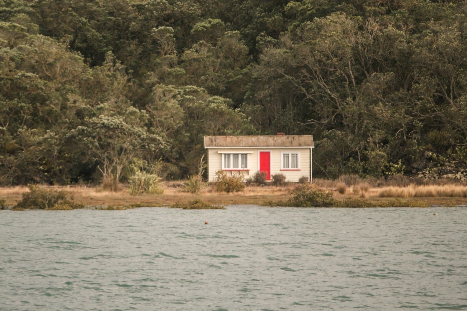 stay-on-rangitoto-island-book-a-bach