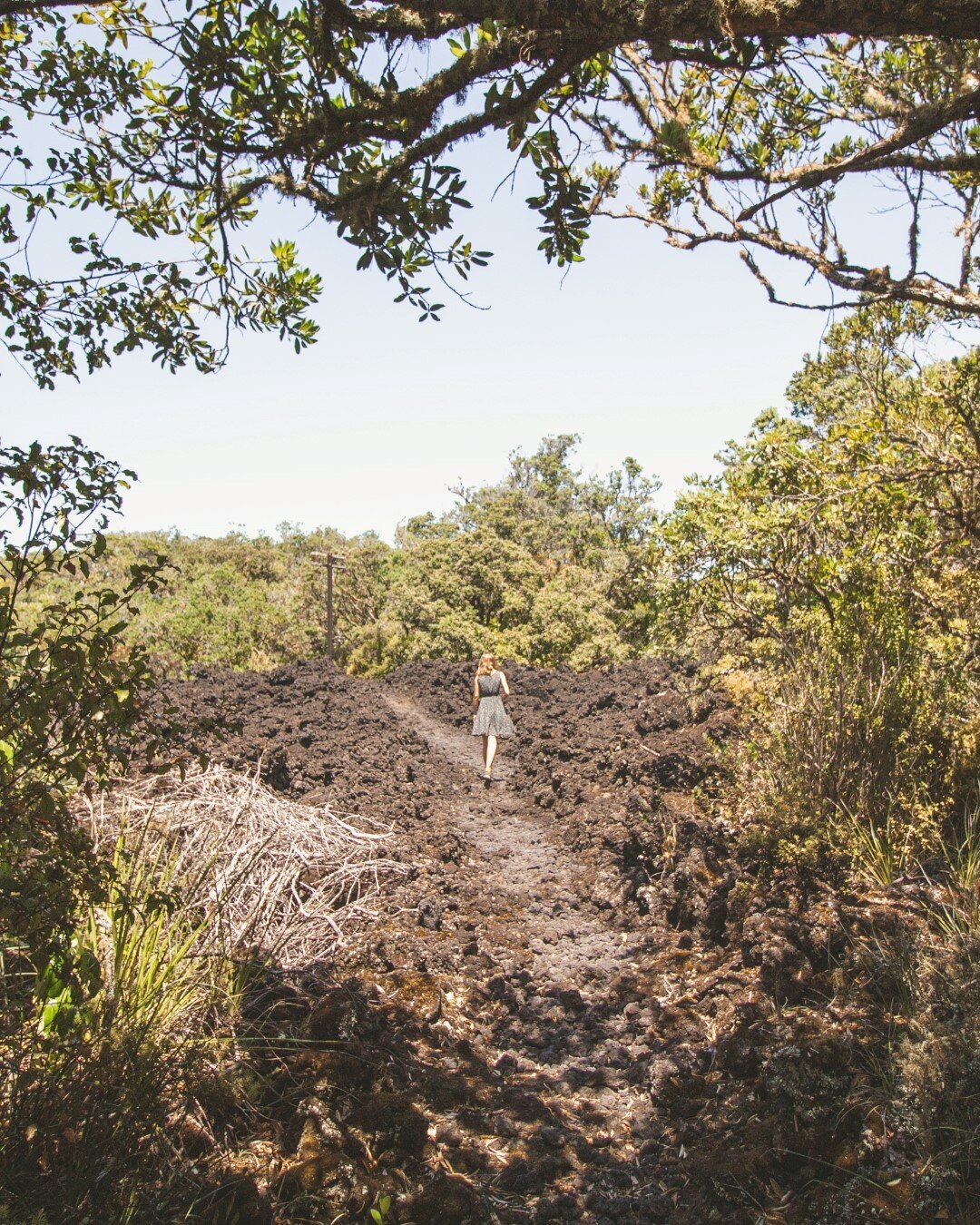 walk-rangitoto-island-coastal-track-islington-bay
