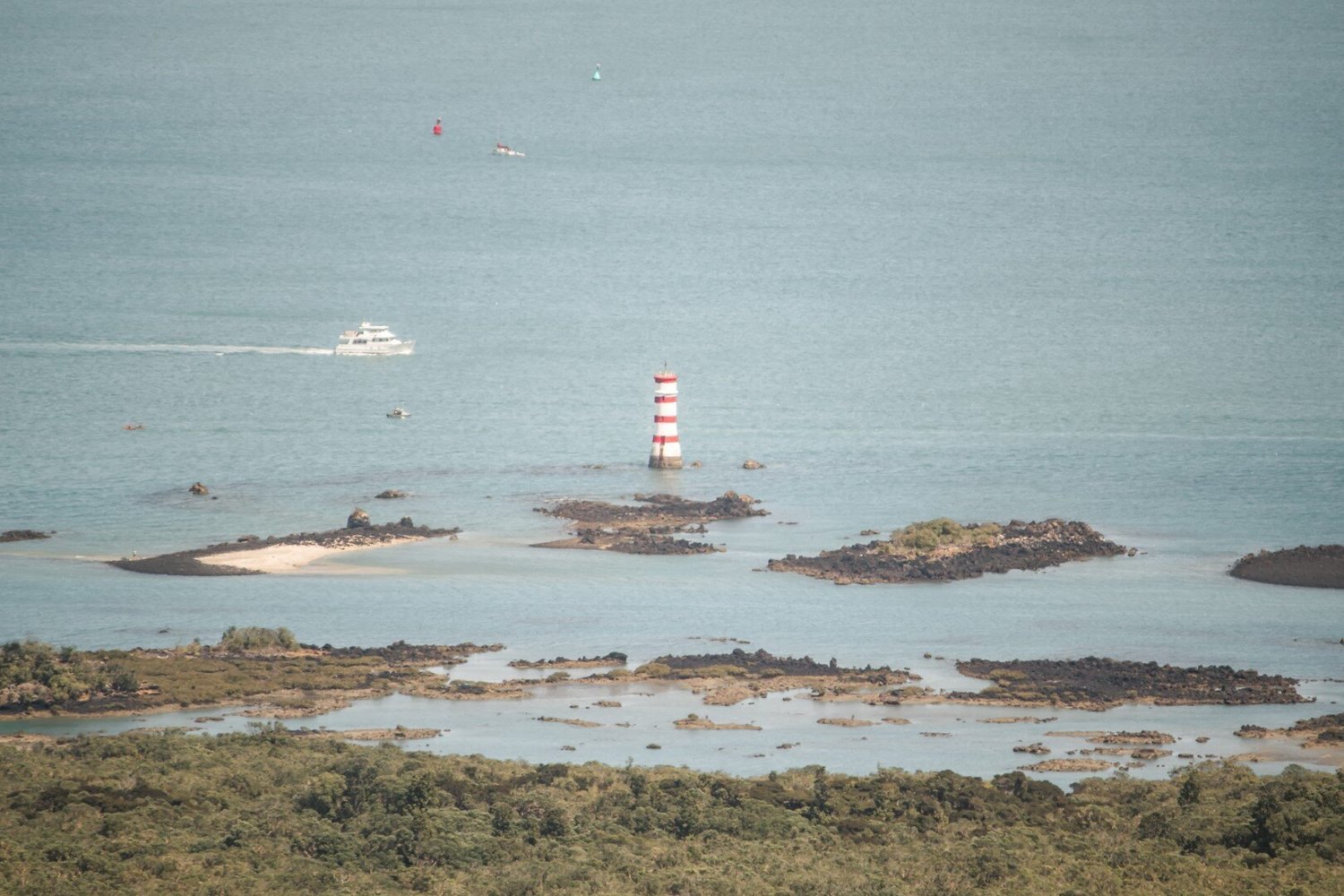 walk-rangitoto-island-lighthouse-track-mackenzie-bay