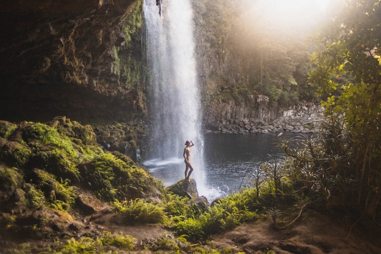 northland-roadie-rainbow-falls-waianiwaniwa