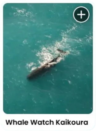A location card from the NZ road trip guide